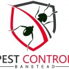 Pest Control Banstead