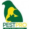Pestpro Bird Solutions