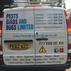 Pests Birds & Bugs