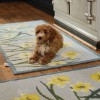 Phoenox Textiles