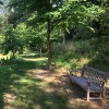 The Place For Plants