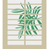 Plantation Shutters