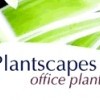 Plantscapes-Office Plants