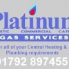 Platinum Gas Services