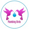 Plumbing Birds