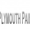 The Plymouth Painter