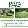 Premium Artificial Grass