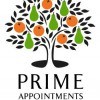 Prime Appointments