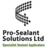Pro Sealant Solutions