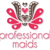 Professional Maids Cleaning Services