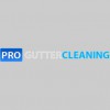 Pro Gutter Cleaners