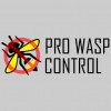 Pro Pest/Wasp Control Glasgow