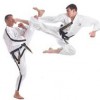 Puma Martial Arts
