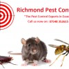 Richmond Pest Control