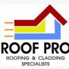 Roof Pro Roofing & Cladding Specialists