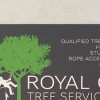 Royal Oak Tree Services