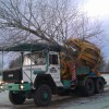 Ruskins Trees & Landscapes