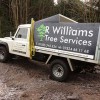 R Williams Tree Surgeon