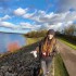 Abbie Brake