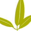Sage Construction