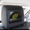 Safe & Sound Vehicle Systems