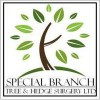 Special Branch Tree