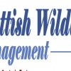 Scottish Wildlife Management