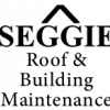 Seggie Roof & Building Maintenance