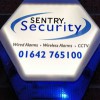 Sentry Security