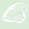 Shades Of Green Garden Design
