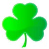 Shamrock Garden Services