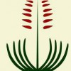 Shrubland Park Nurseries