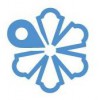 Snowflake Software