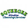 Squeegee Window Cleaning Services