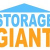 Storage Giant Cardiff