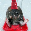 Strathearn Pest Control