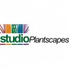 Studio Plantscapes