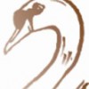 Swan-Robes