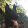 Talon Security