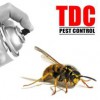 TDC Pest Control
