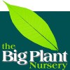 The Big Plant Nursery