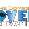 The Domestic Oven Cleaner