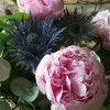 The Flower Cellar Traders Outlet