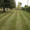 The Grassman