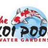 The Koi Pool Water Gardens