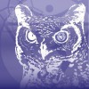 The Owl