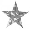 The Paper Star