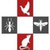 Total Pest Control UK