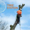 Greater Manchester TreeStation