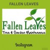 Fallen Leaves Tree & Garden Maintenance